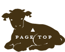 page topへ